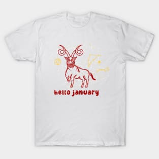 Character Design - Hello January! T-Shirt